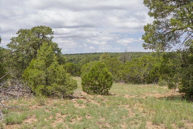 S Highway 34, Rowe, NM 87562