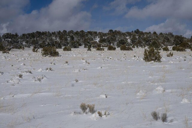 S Highway 34, Rowe, NM 87562
