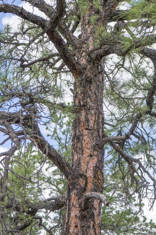 S Highway 34, Rowe, NM 87562