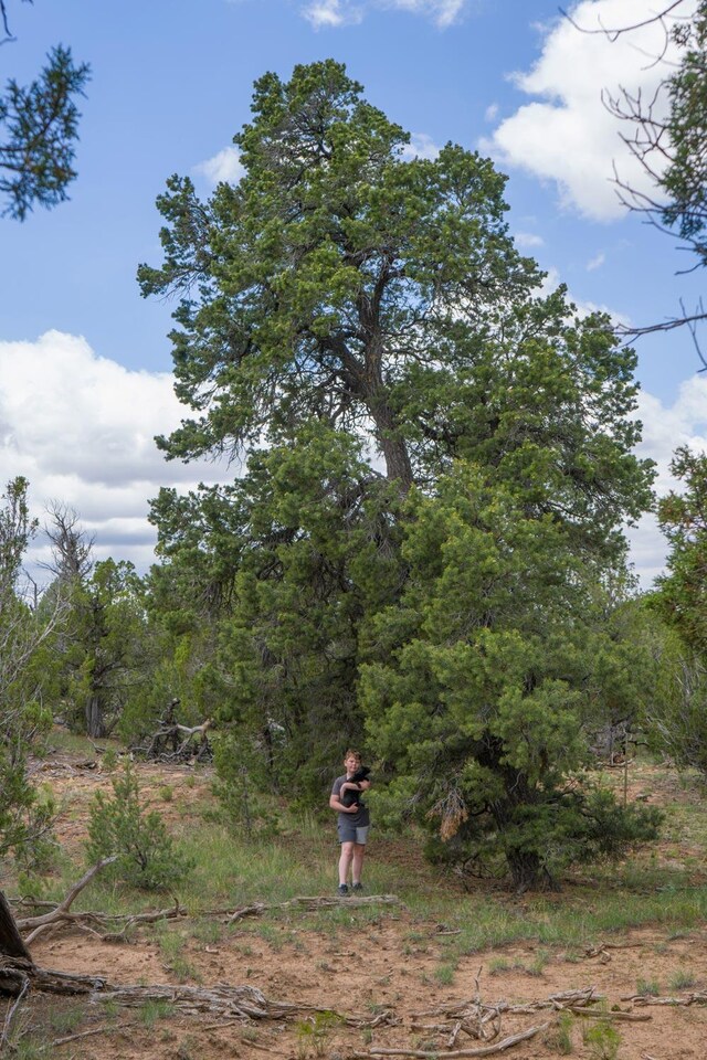 S Highway 34, Rowe, NM 87562