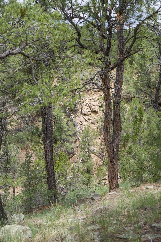 S Highway 34, Rowe, NM 87562