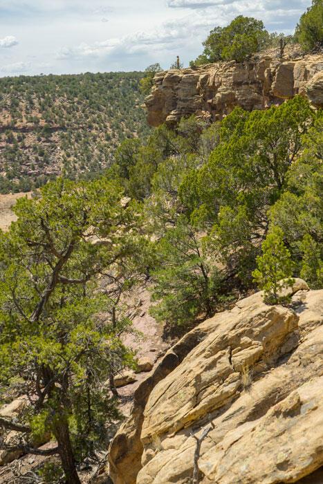 S Highway 34, Rowe, NM 87562