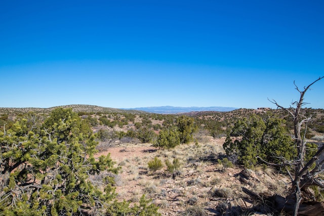 234 N Wild Primrose, Placitas, NM 87043