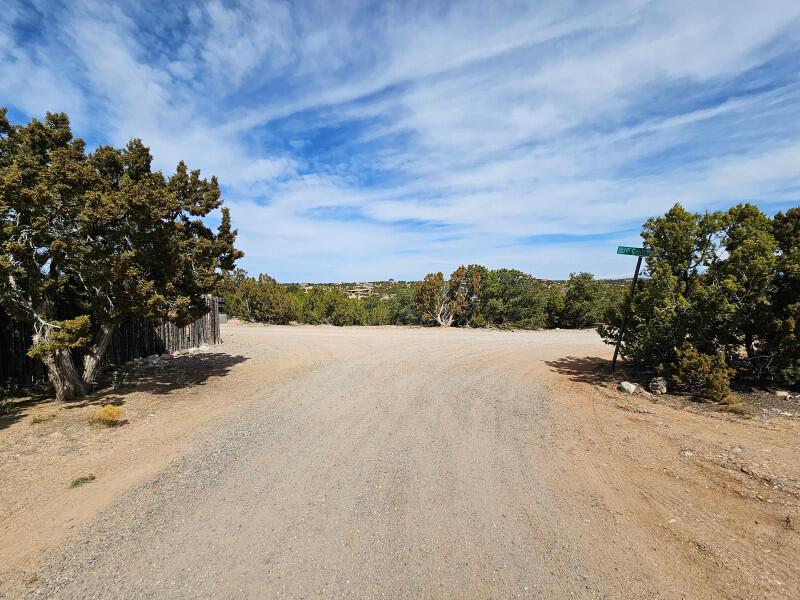 66 Blue Canyon Trl, Santa Fe, NM 87507 - view of dirt / gravel road