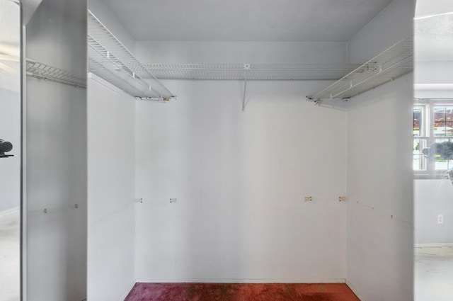 404 Pyrite Dr NE, Rio Rancho, NM 87124 - view of spacious closet