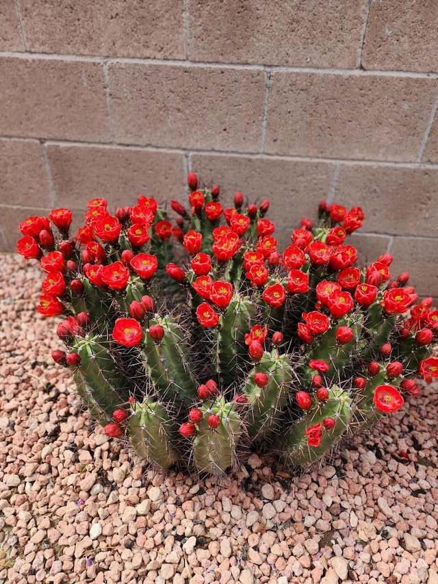 404 Pyrite Dr NE, Rio Rancho, NM 87124 - exterior view
