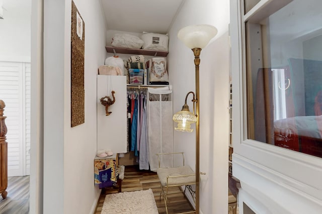 bathroom with a closet and wood finished floors