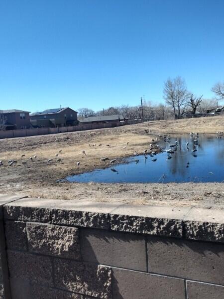 view of yard featuring a water view