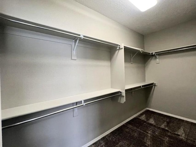 6016 N Sandia Ct, Rio Rancho, NM 87144 - walk in closet featuring dark colored carpet