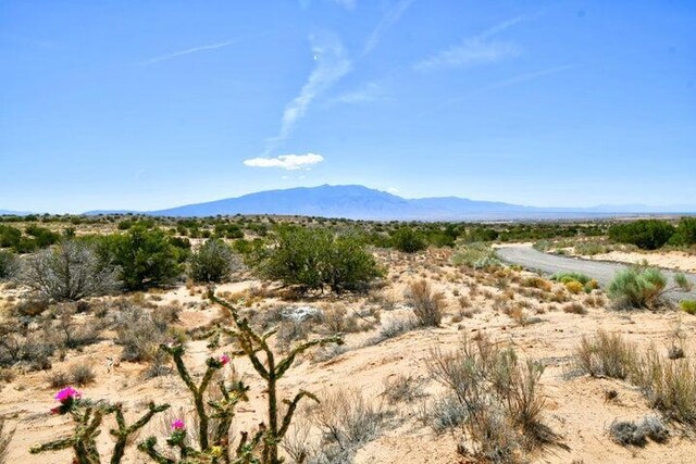 5224 Bachmann Ct NE, Rio Rancho, NM 87144 - photo 4
