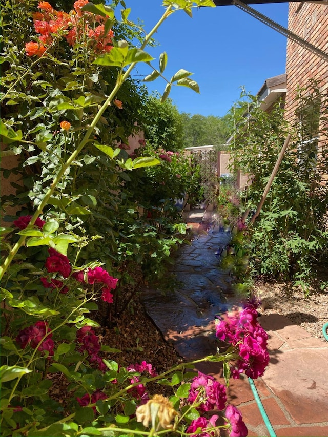 view of yard featuring a small pond