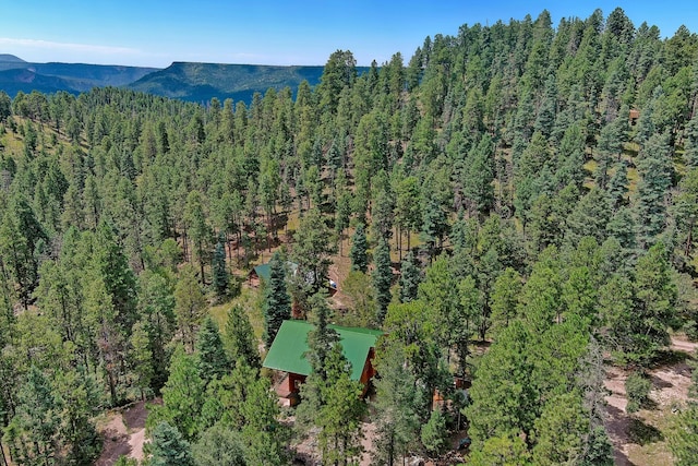 drone / aerial view featuring a mountain view and a forest view