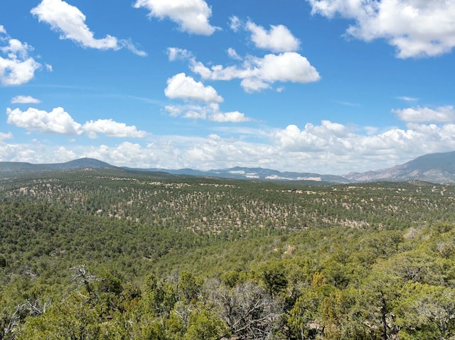 29 Mustang Mesa Trl, Tijeras, NM 87059