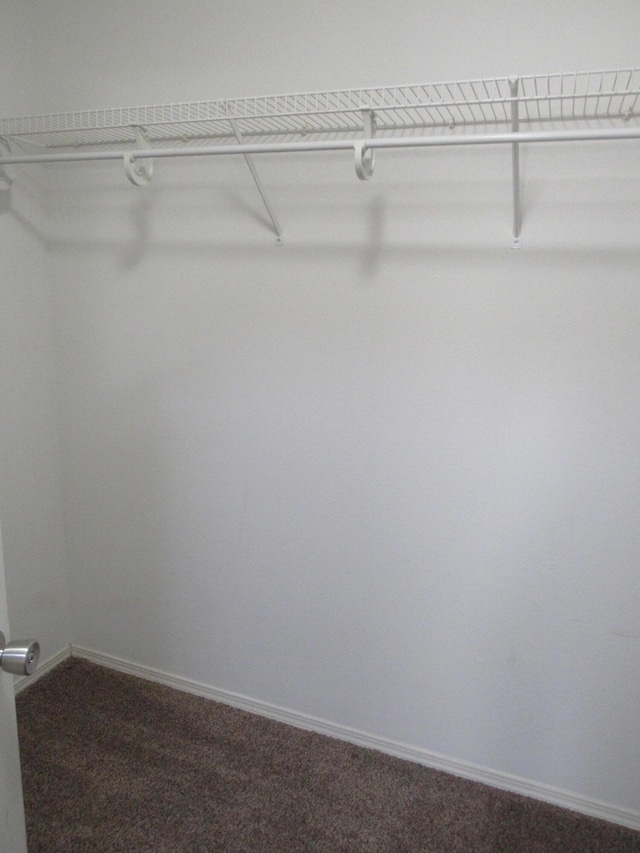 spacious closet with dark carpet