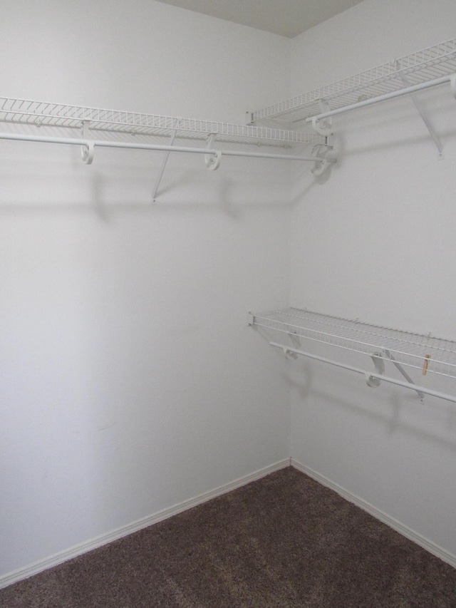 walk in closet with dark colored carpet