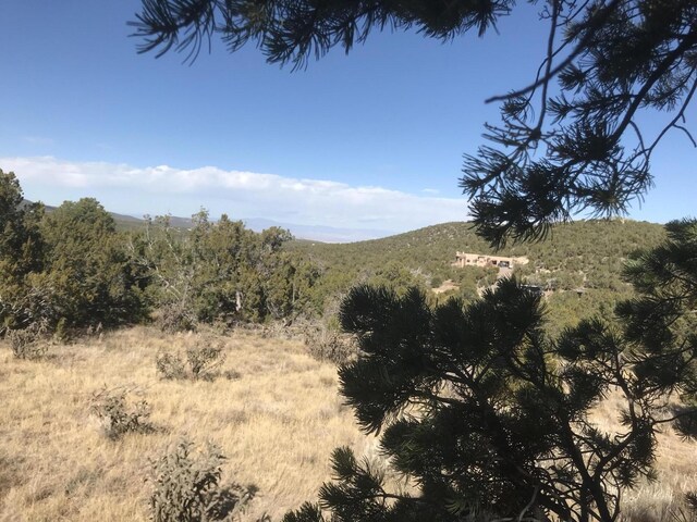 43 Canon Escondido Pl, Sandia Park, NM 87047 - photo 8