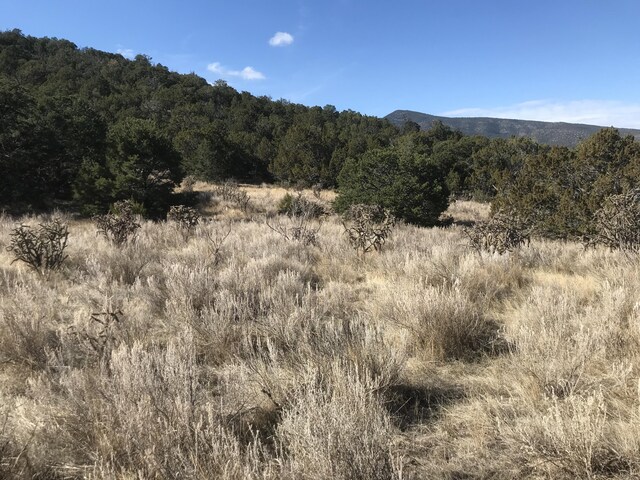 43 Canon Escondido Pl, Sandia Park, NM 87047 - photo 7