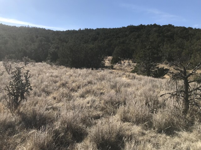 43 Canon Escondido Pl, Sandia Park, NM 87047 - photo 5