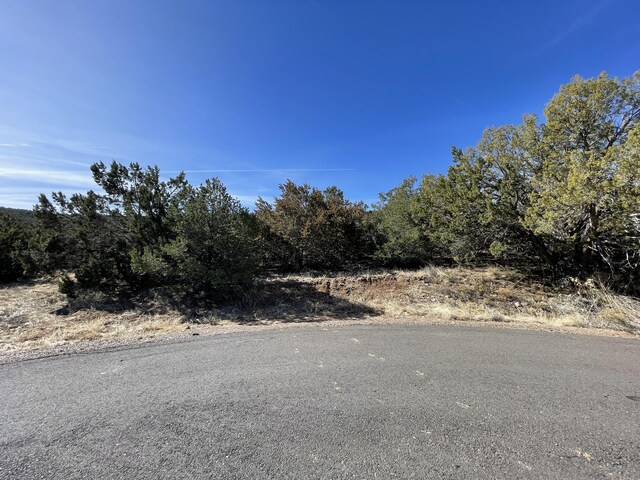 43 Canon Escondido Pl, Sandia Park, NM 87047 - photo 4