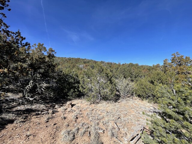 43 Canon Escondido Pl, Sandia Park, NM 87047 - photo 15