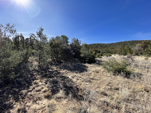 43 Canon Escondido Pl, Sandia Park, NM 87047 - photo 14