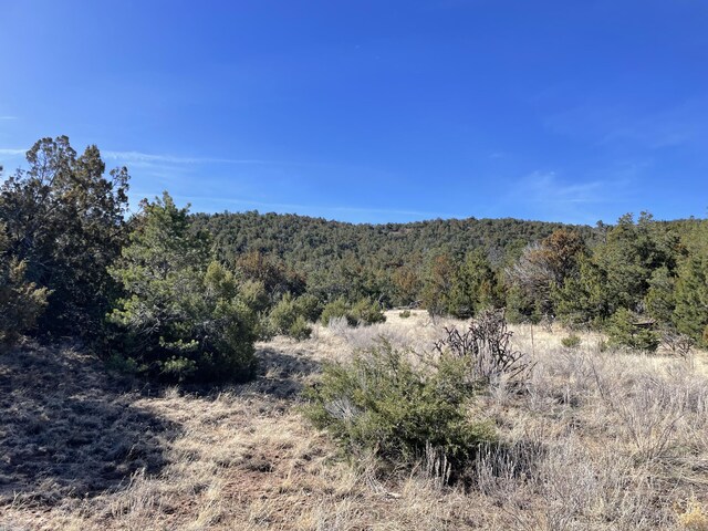 43 Canon Escondido Pl, Sandia Park, NM 87047 - photo 13