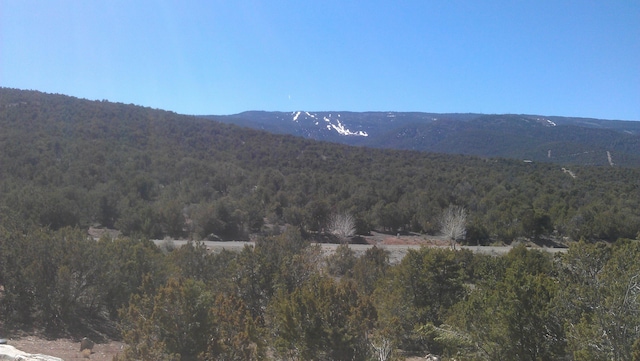 43 Canon Escondido Pl, Sandia Park, NM 87047 - photo 11