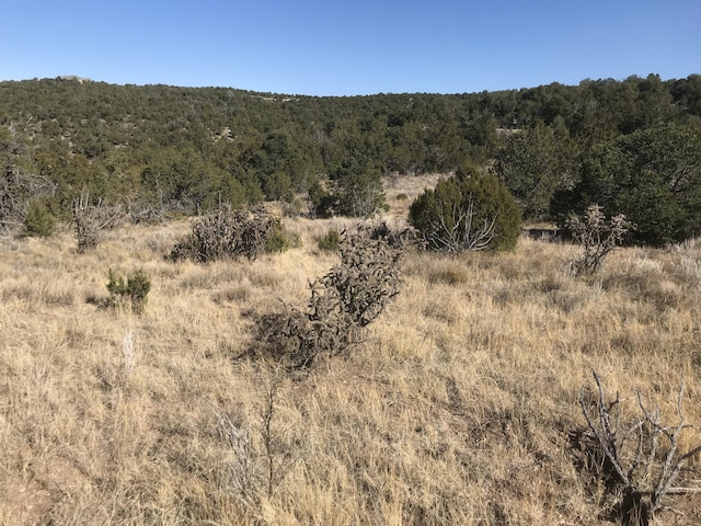 43 Canon Escondido Pl, Sandia Park, NM 87047 - photo 10