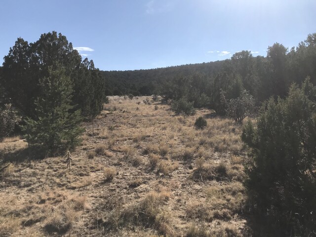 43 Canon Escondido Pl, Sandia Park, NM 87047 - photo 9