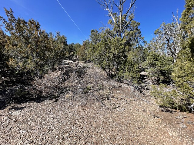 41 Canon Escondido Pl, Sandia Park, NM 87047 - photo 11