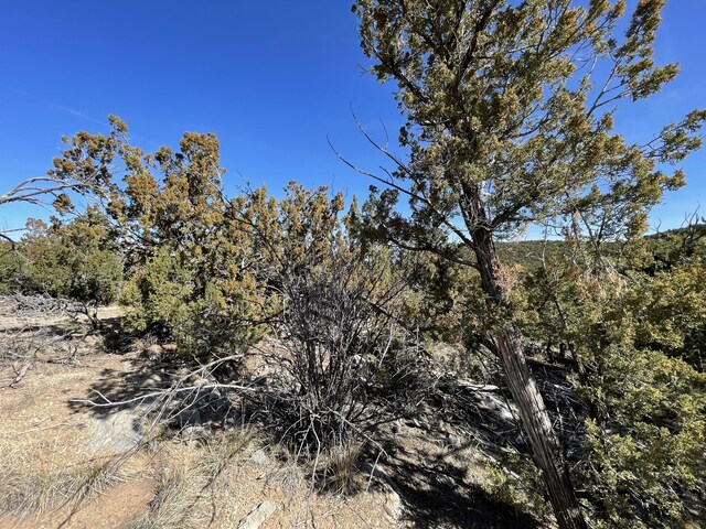 41 Canon Escondido Pl, Sandia Park, NM 87047 - photo 9