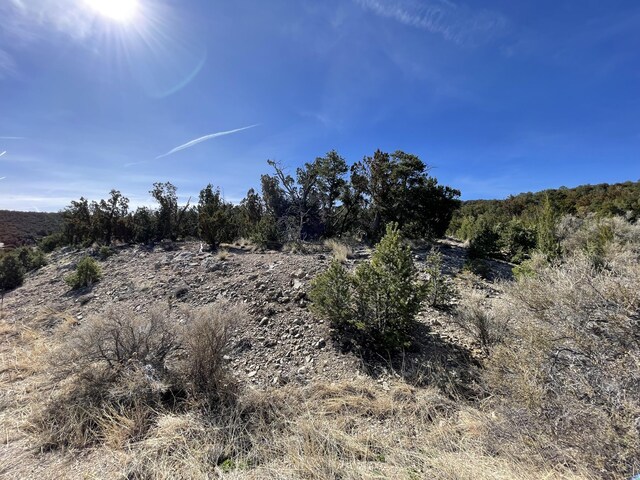 41 Canon Escondido Pl, Sandia Park, NM 87047 - photo 6