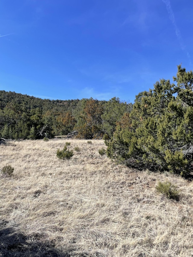 41 Canon Escondido Pl, Sandia Park, NM 87047 - photo 4