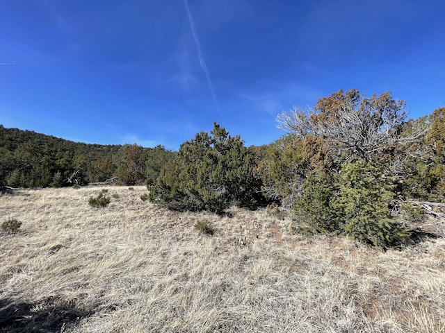 41 Canon Escondido Pl, Sandia Park, NM 87047 - photo 1