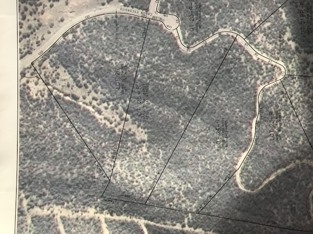 31 Canon Escondido, Sandia Park, NM 87047 - photo 2