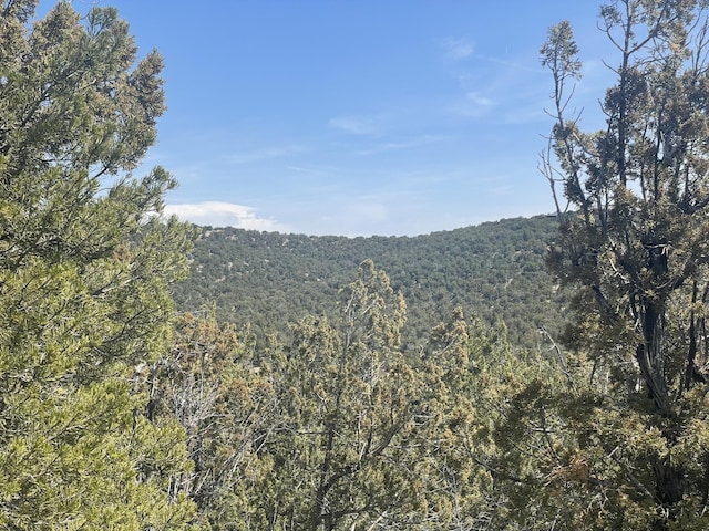 31 Canon Escondido, Sandia Park, NM 87047 - photo 13