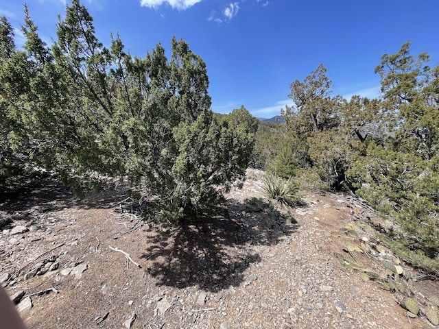 31 Canon Escondido, Sandia Park, NM 87047 - photo 9