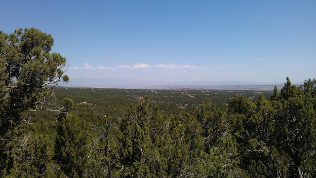 31 Canon Escondido, Sandia Park, NM 87047 - photo 8