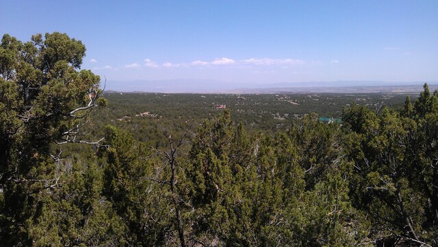 31 Canon Escondido, Sandia Park, NM 87047 - photo 6