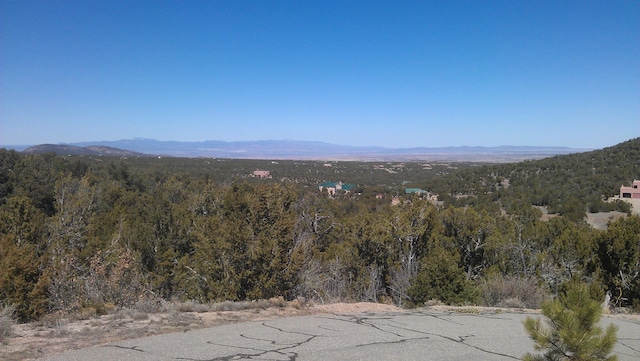 31 Canon Escondido, Sandia Park, NM 87047 - photo 5