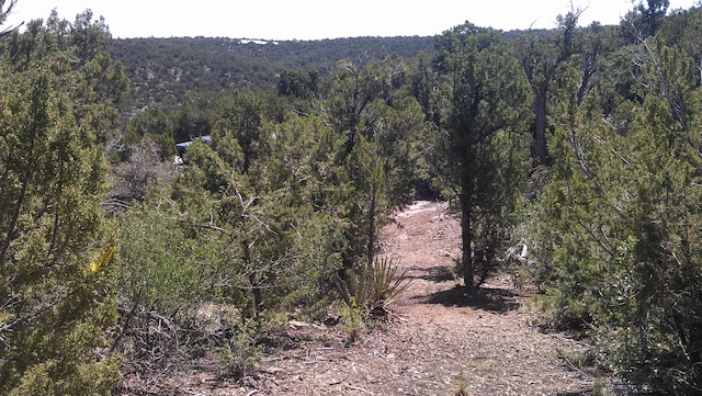 31 Canon Escondido, Sandia Park, NM 87047 - photo 4