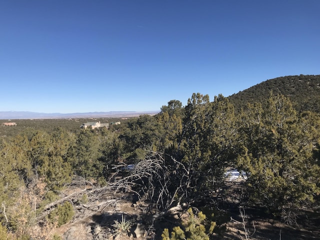 29 Canon Escondido, Sandia Park, NM 87047 - photo 8
