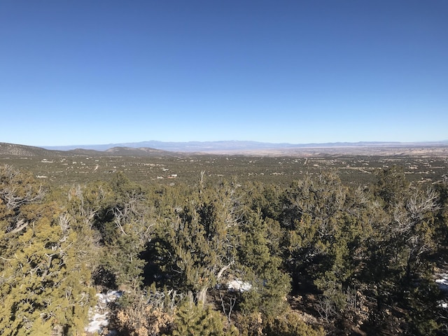 29 Canon Escondido, Sandia Park, NM 87047 - photo 7