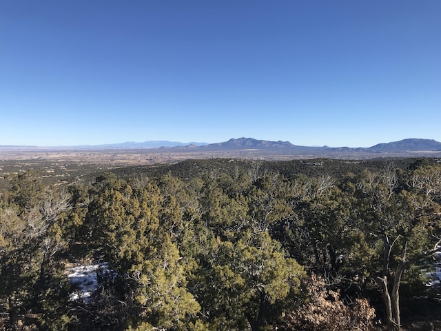29 Canon Escondido, Sandia Park, NM 87047 - photo 6