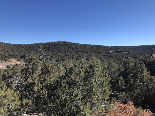 29 Canon Escondido, Sandia Park, NM 87047 - photo 5