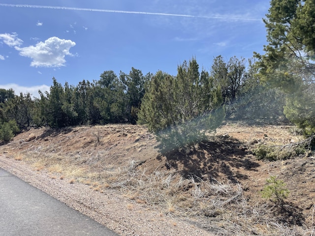 29 Canon Escondido, Sandia Park, NM 87047 - photo 4