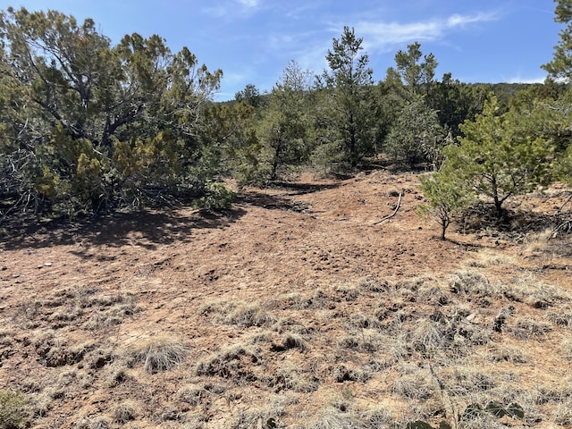 29 Canon Escondido, Sandia Park, NM 87047 - photo 14