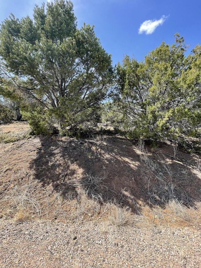 29 Canon Escondido, Sandia Park, NM 87047 - photo 13