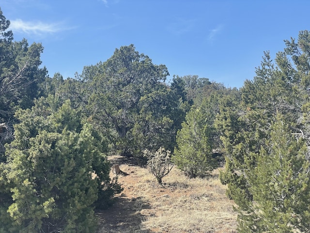 29 Canon Escondido, Sandia Park, NM 87047 - photo 12