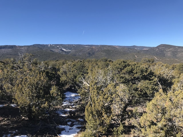 29 Canon Escondido, Sandia Park, NM 87047 - photo 9